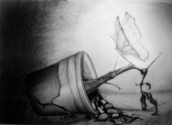 Рисунки карандашом г