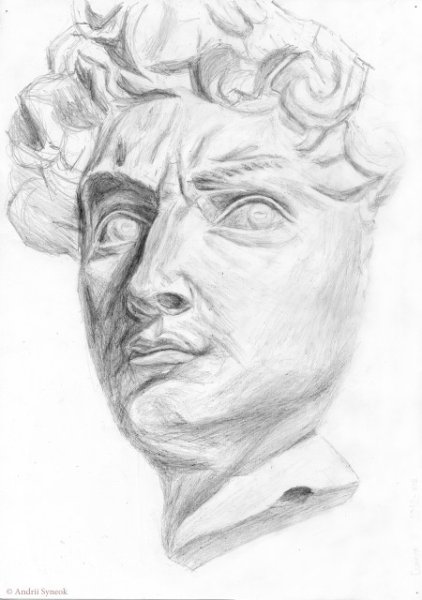 Давид Микеланджело портрет