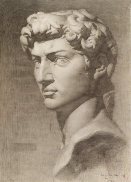 Бюст Давида Микеланджело рисунок