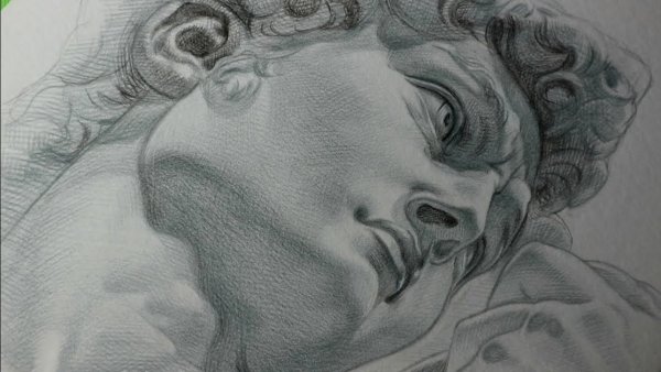 Гипсовая голова Давида Микеланджело