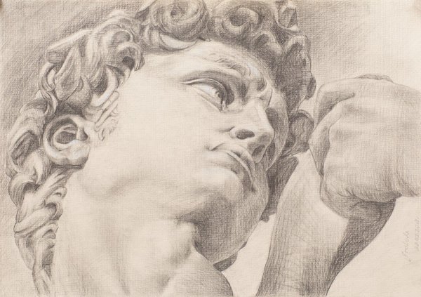 Давид Микеланджело голова рисунок