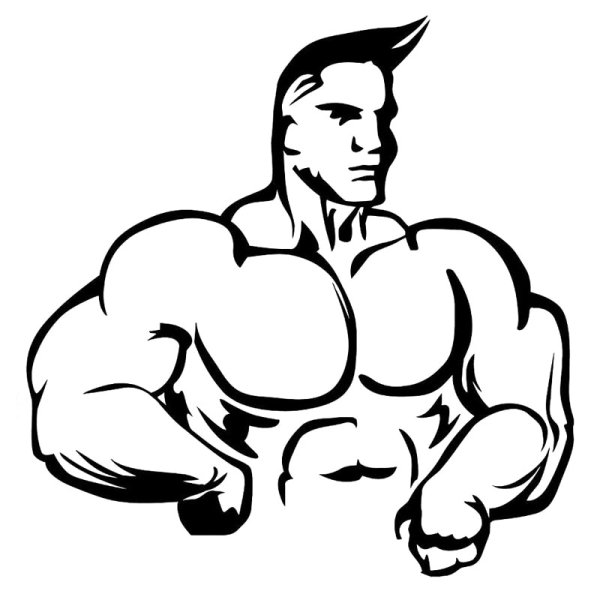 Бодибилдер карандашом