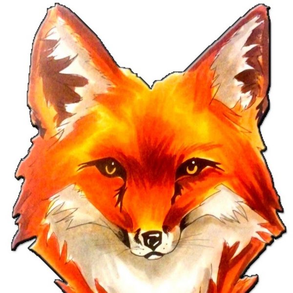 Голова лисы