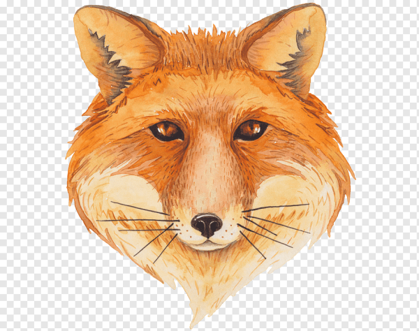 Голова лисички