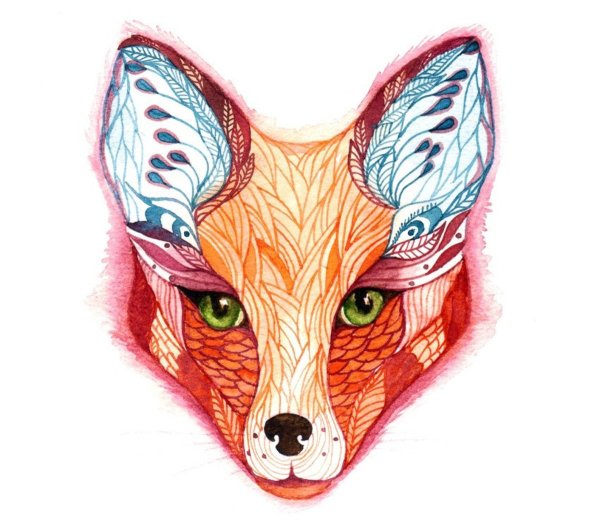 Голова лисы арт
