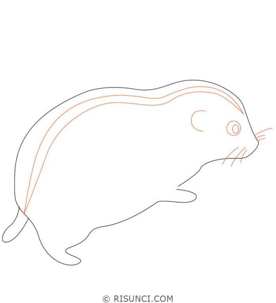 Нарисовать лемминга