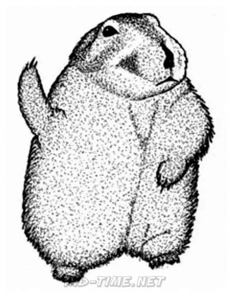 Лемминг раскраска