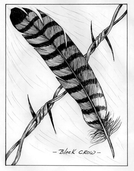 Перо Совы карандашом