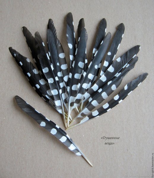 Перо кукушки