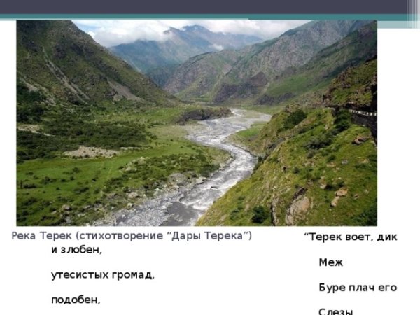 Дары Терека Лермонтов иллюстрации