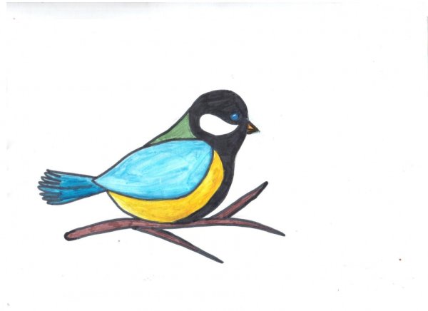 Трафарет птички синички для детей