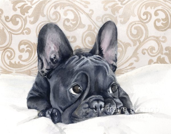 Французский бульдог иллюстрация