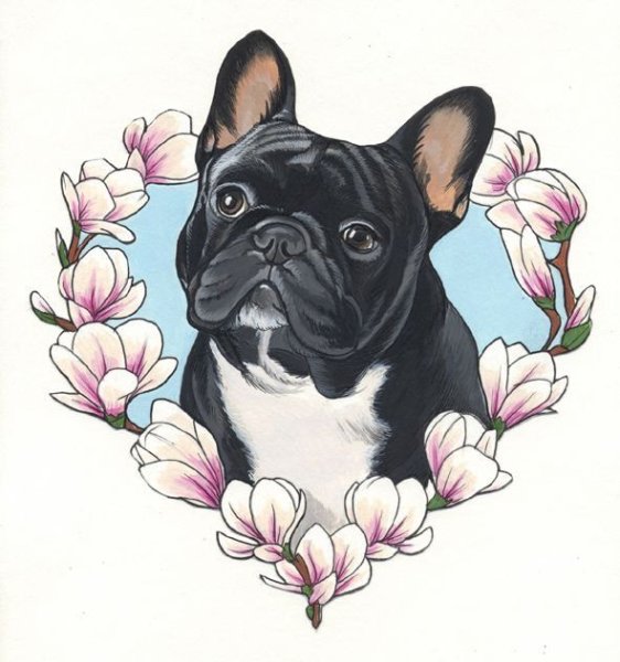 Французский бульдог эскиз