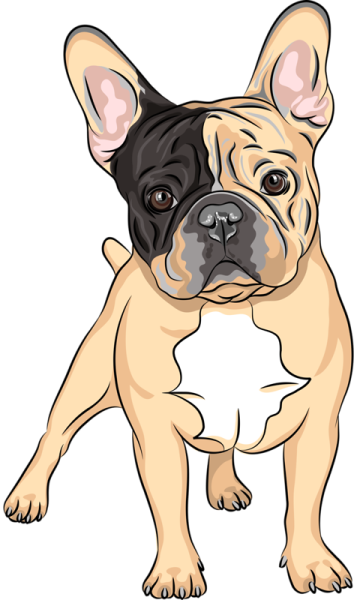 Французский бульдог мультяшный