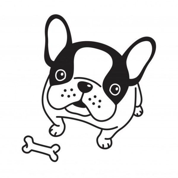 Французский бульдог рисунок