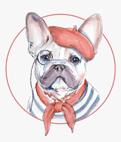 Французский бульдог акварелью