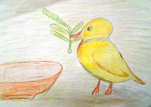 Храбрый утенок Житков рисунок