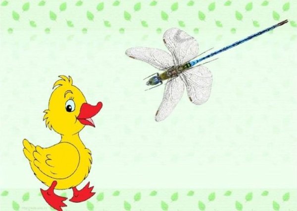 Рисунок к рассказу Житкова Храбрый утенок