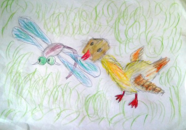 Житков Храбрый утенок картинки