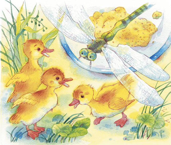 Иллюстрация к рассказу Храбрый утенок