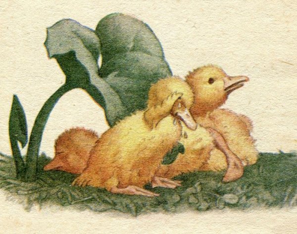 Нарисовать иллюстрацию к сказке Храбрый утенок