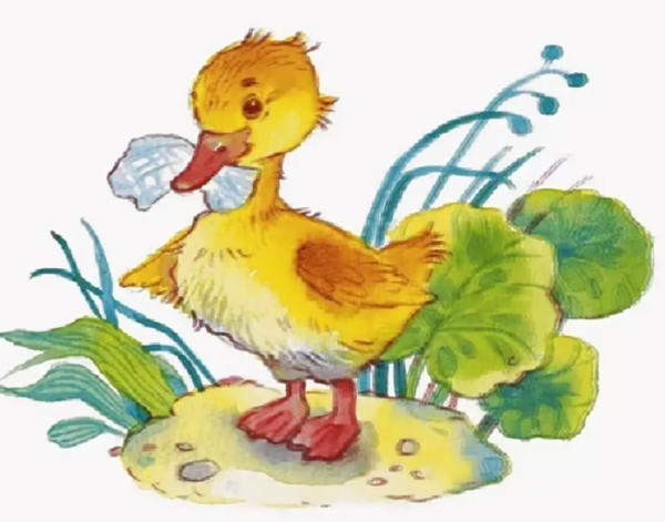 Сказка Житкова Храбрый утенок