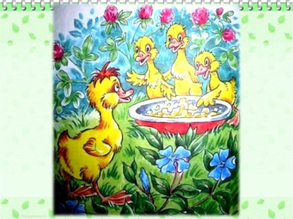 Житков Храбрый утенок иллюстрации к сказке