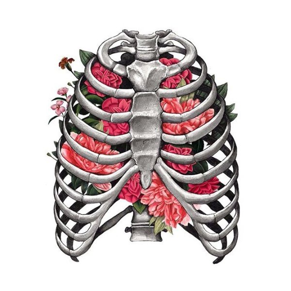 Грудная клетка в цветах