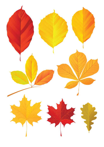 Цветной лист