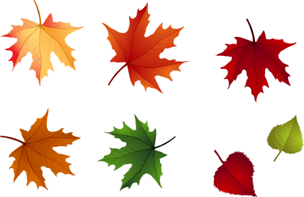 Осенние листочки