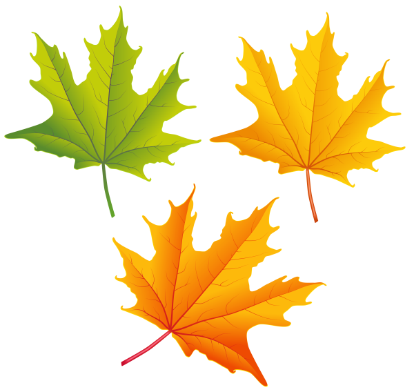 Листики осенние кленовые