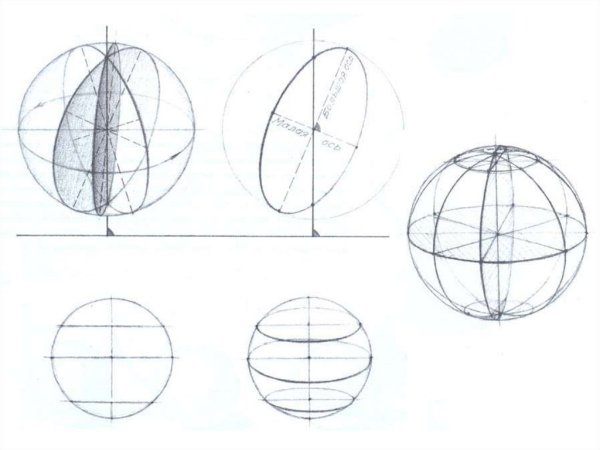 Поэтапное рисование гара