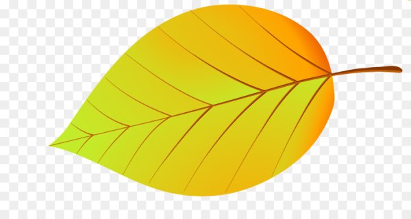 Листики цветные