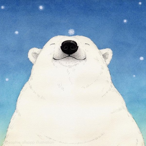 Белый медведь иллюстрация