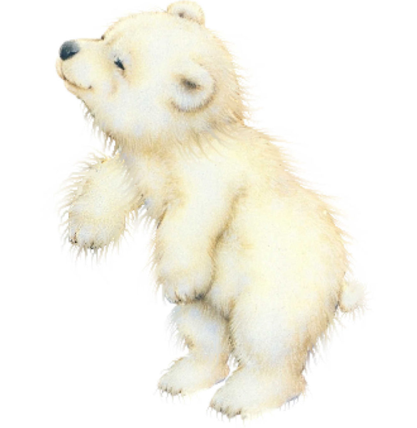 Белый медведь