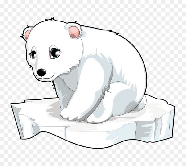 Белый мишка мультяшный