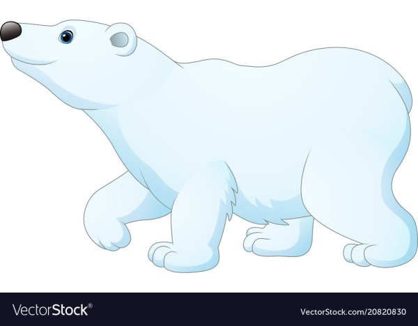 Полярный медведь вектор сбоку голова