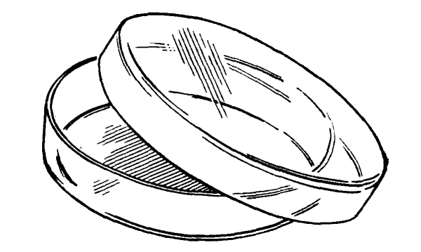 Чашка Петри в химии