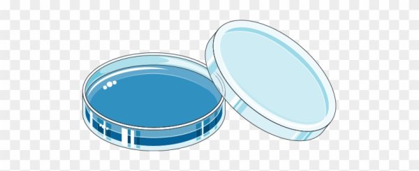 Белая чашка Петри