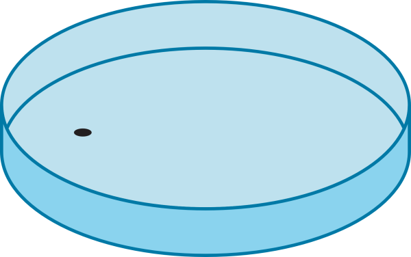 Чашка Петри