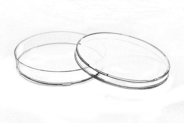 Чашка Петри схема