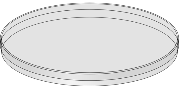 Чашка Петри рисунок