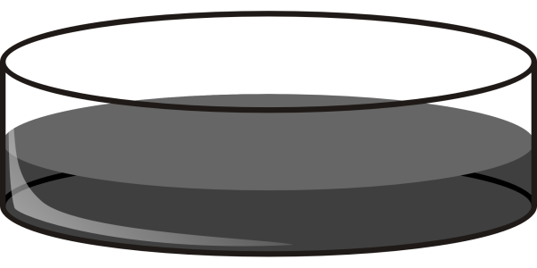 Чашка Петри вектор