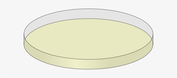 Чашка Петри рисунок