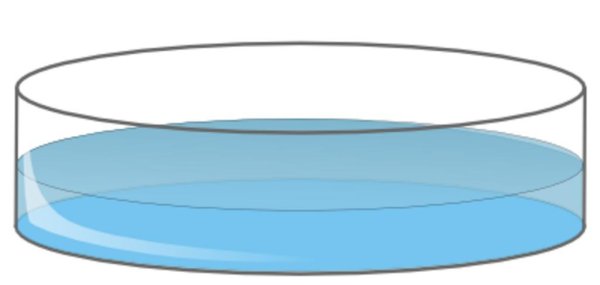 Чашка Петри рисунок
