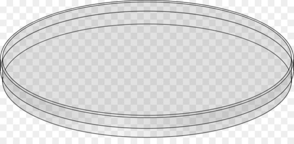 Чашка Петри нарисовать