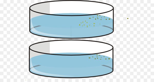Микробиология бактерии в чашке Петри