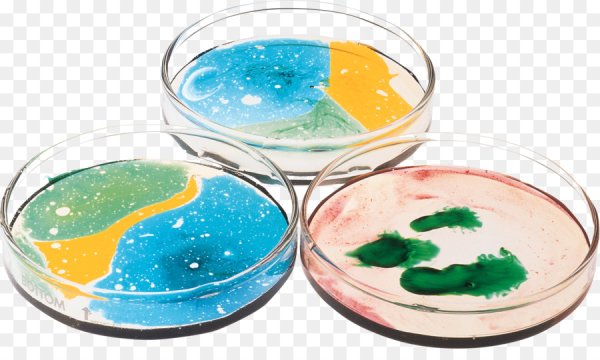 Чашка Петри на белом фоне