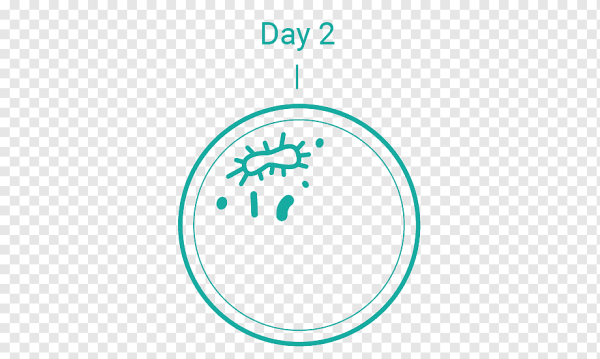 Микроорганизмы эмблема