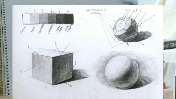 Светотень в рисунке